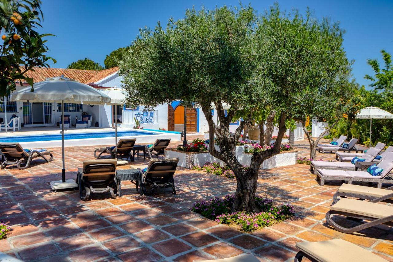 The Palms Boutique Resort Malaga - Adults Only Alhaurin de la Torre Exterior photo
